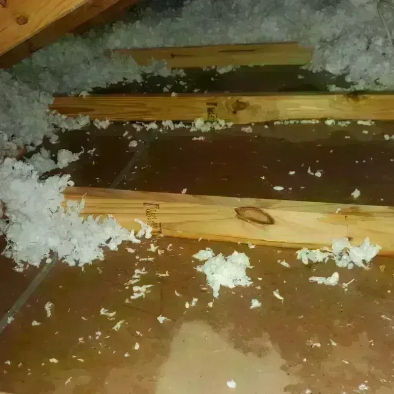 Attic Water Damage in Mercerville-Hamilton Square, NJ