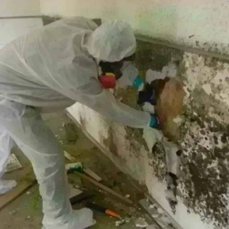 Mold Remediation and Removal in Mercerville-Hamilton Square, NJ